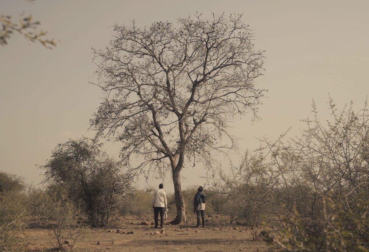 PIB India tweet media