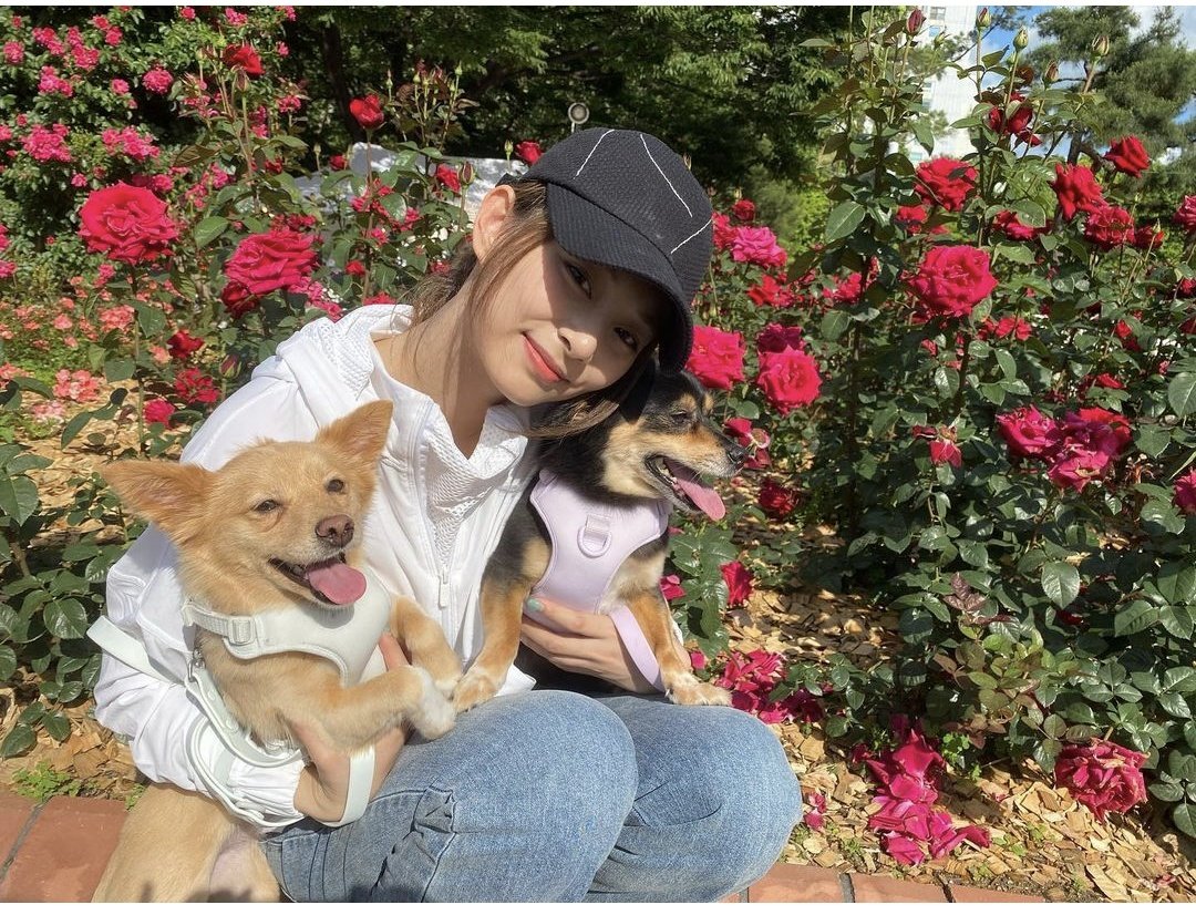 do_it0710's tweet photo. Tzuyu&amp;Kaya&amp;Butterに会えるイベント開催してくれませんか🐶 https://t.co/3x40BbUiQ9