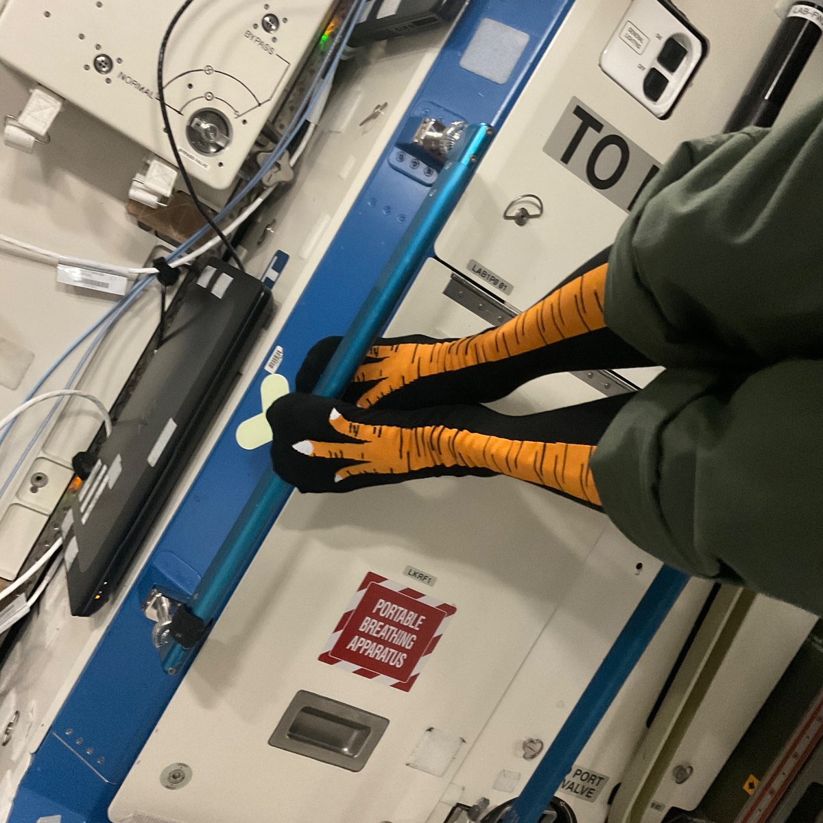 Loral O'Hara tweet media