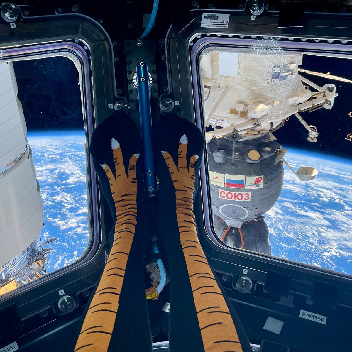 Loral O'Hara tweet media