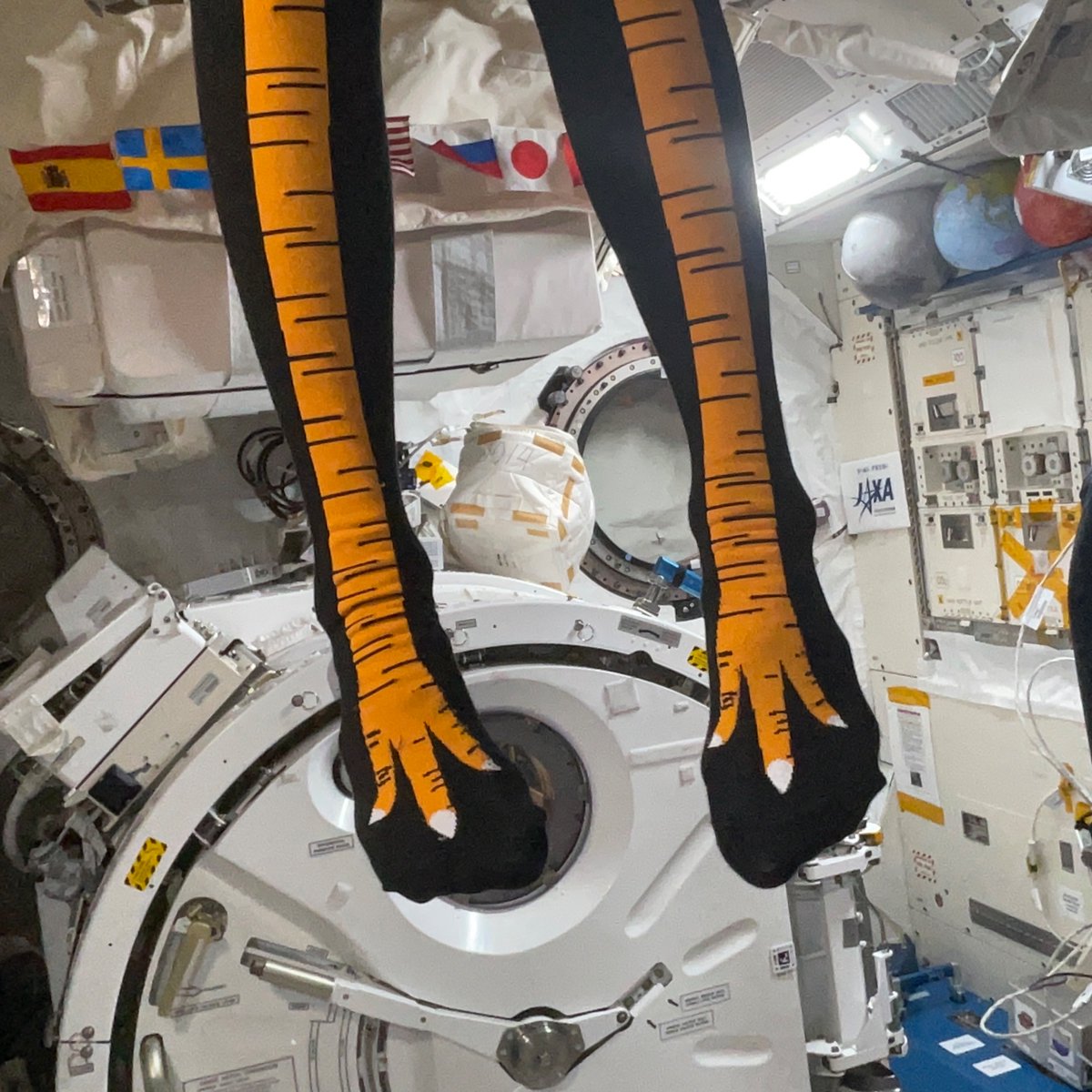 Loral O'Hara tweet media