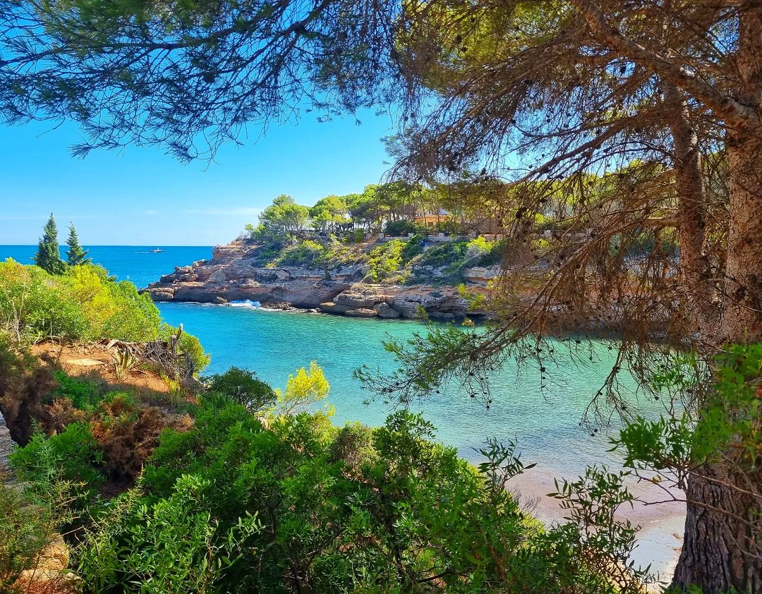 ametllademartur's tweet photo. #Bondia! La Cala de l'Estany Tort és una de les joies entre les 30 cales de la costa #Reservadela Biosfera de l'#AmetlladeMar! Cadascuna té el seu propi encant únic. Les coneixes totes?
Foto de @joanpllambrich, gràcies!
#TerresdelEbre #CatalunyaExperience https://t.co/BNIPDRSkEC