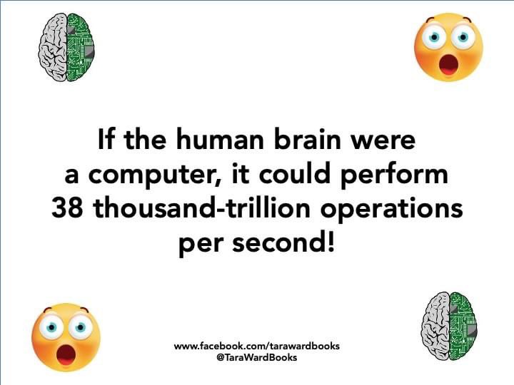 TaraWardBooks's tweet photo. Here's a #BrainFact for #FunFactFriday that might make you feel good about yourself! Maybe we are smarter than we think ... https://t.co/F1EelqxvB9