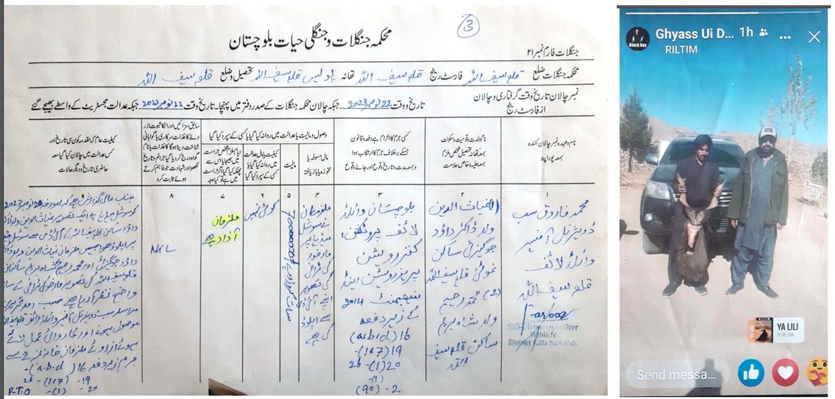 🌐 Swift action taken against a social media post depicting wildlife killing! The perpetrator has been apprehended, and legal measures have been promptly initiated. Great work done by Killah Saifullah Team. 🚫🦁 Let's stand united against any harm to our precious wildlife. 🌿👊