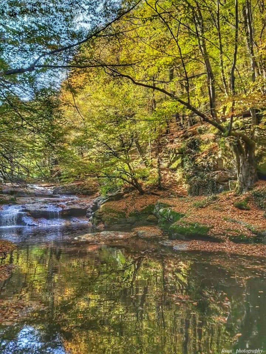 #photo #photography #reflections #nature #NaturePhotography #naturebeauty #waterfall #naturereflections
 🍂