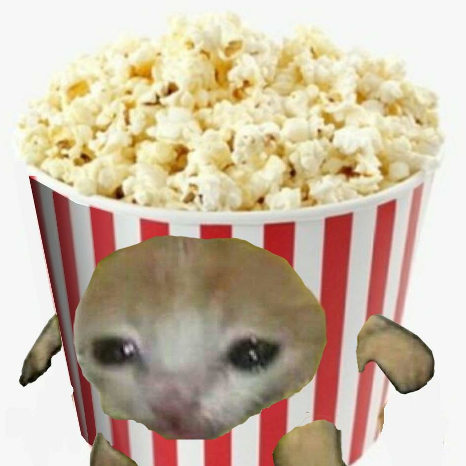 bald_monkey0320's tweet photo. #NewProfilePic https://t.co/TArmd6zPjr