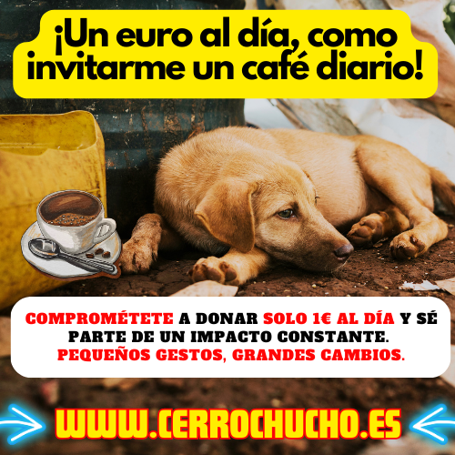HollandAPBT's tweet photo. El refugio canino Cerro Chucho necesita ayuda.
https://t.co/DE9hlCq08Z https://t.co/aAOq027IRu