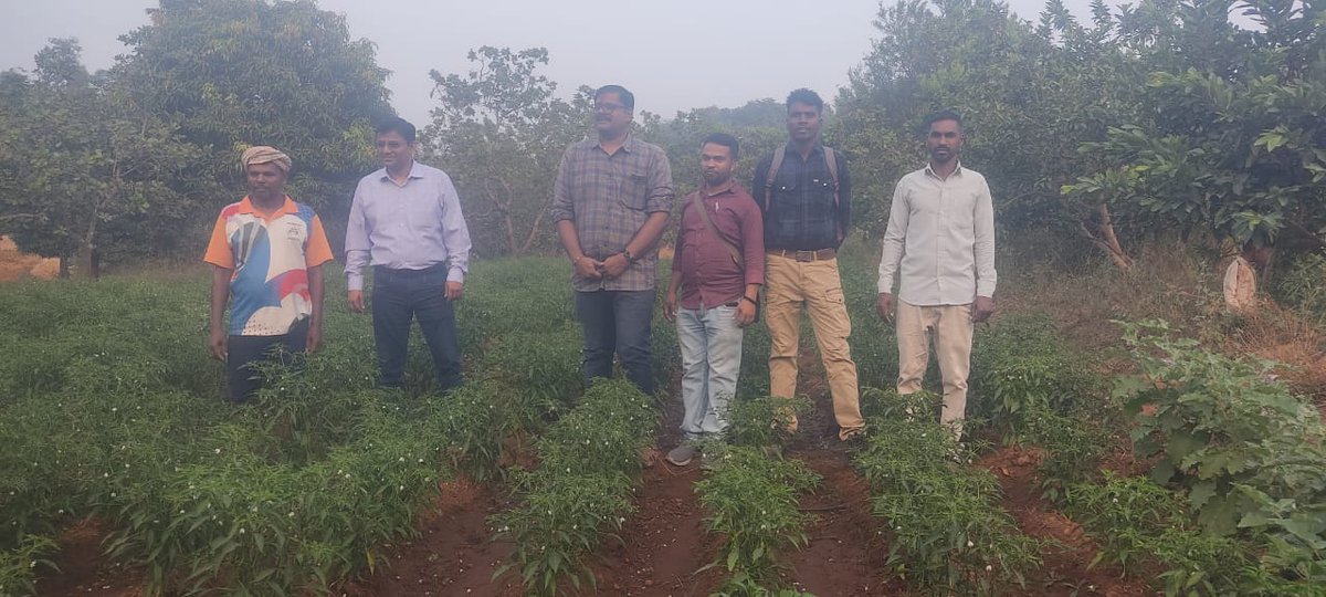 sevavardhini's tweet photo. Sansdiy Sankul Vikas Pariyojna is being implemented in 5 villages (Ambatha, Dolare, Khandurdi, Umbarde, Bhawada) of Surgana Taluka of Nashik District through Sevavardhini. Under this project, it is planned to develop solar based irrigation system for farmers, train them in 1/4 https://t.co/F3VD5HEnjS