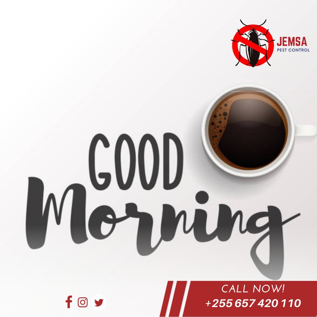 JemsaPest's tweet photo. It's Furahiday😎!!!  Embrace the new day with a smile

#Goodmorningvibes #morning #furahidayvibes #weekendmood #weekendvibes #tgif #thankgoditsfriday #daressalaam #tanzania #jemsapestcontrol https://t.co/t1uFgs5Qtj