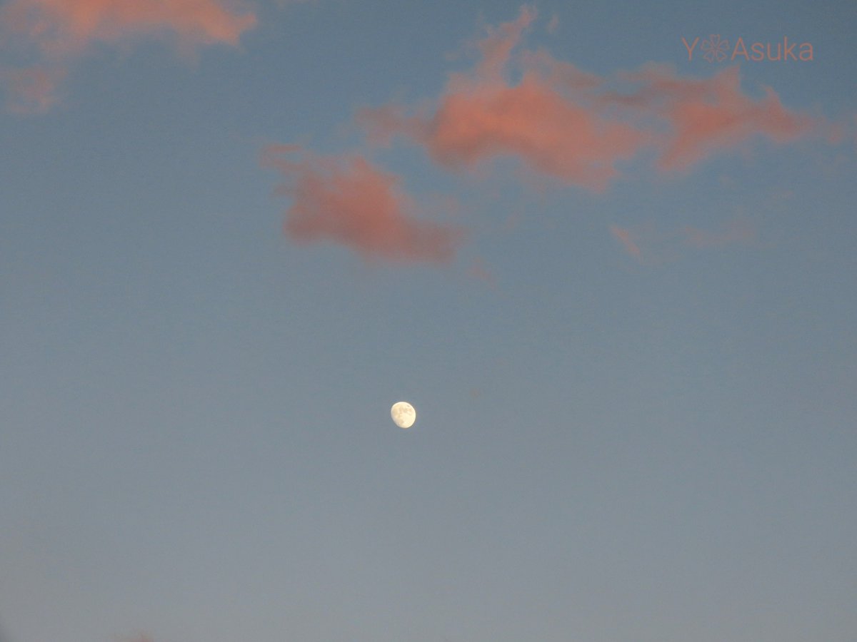 yumeasutw's tweet photo. 今日のお月様🌔
北風が吹き抜ける日の入りの頃🌆
#茜雲 が流れ行く東の空に昇る
🌔 #宵月 (月齢10.9)
#イマツキ #いまつき
#月 #moon
#夕空
#空の名前
#天気の図鑑 #気象のはなし
#a2023 #a1124 #a202311 #a2023114 https://t.co/MfHq7LZVAy