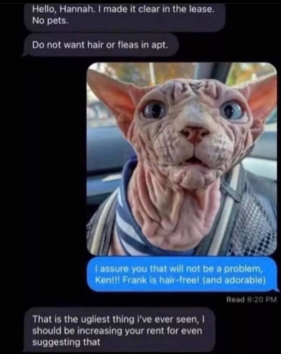 Out of Context Human Race (@nocontexthumans) on Twitter photo 