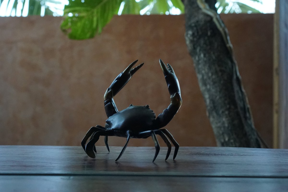 BackusCeramics's tweet photo. Now offering a 6 week resident student program in Bali about making ceramic pieces, glazing them and using the oven!

If this interests you, sign up on the Backus Ceramics website!

I can also help you find accommodation here in Bali and guide you for the visa process. https://t.co/KMuQbjIv7U