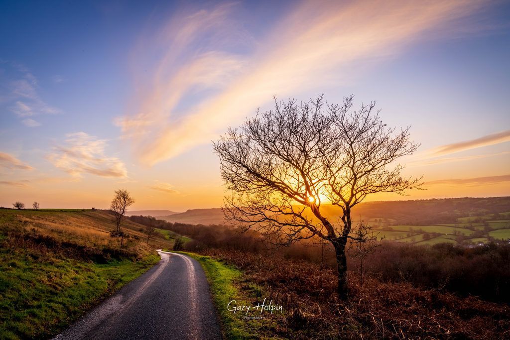 Gary Holpin | Photography tweet media