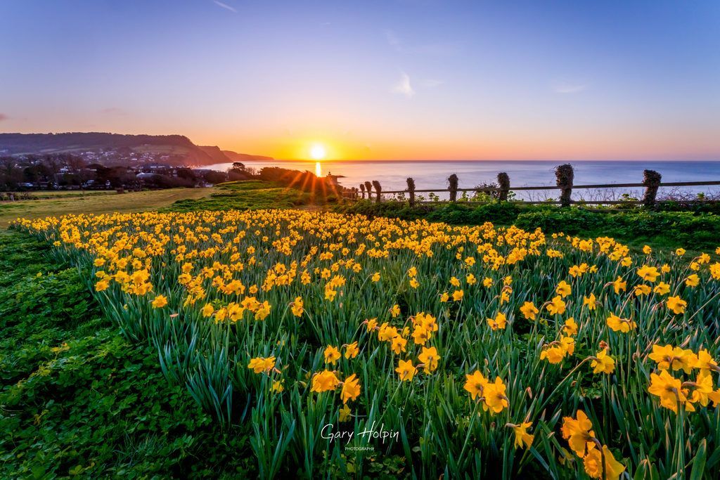 Gary Holpin | Photography tweet media