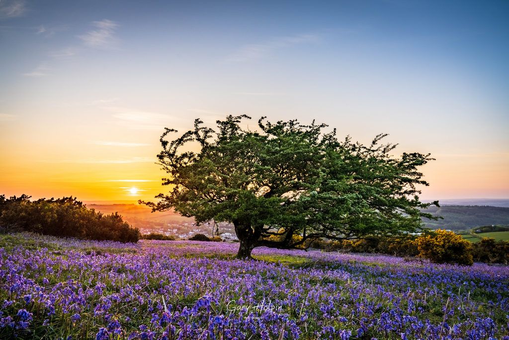 Gary Holpin | Photography tweet media