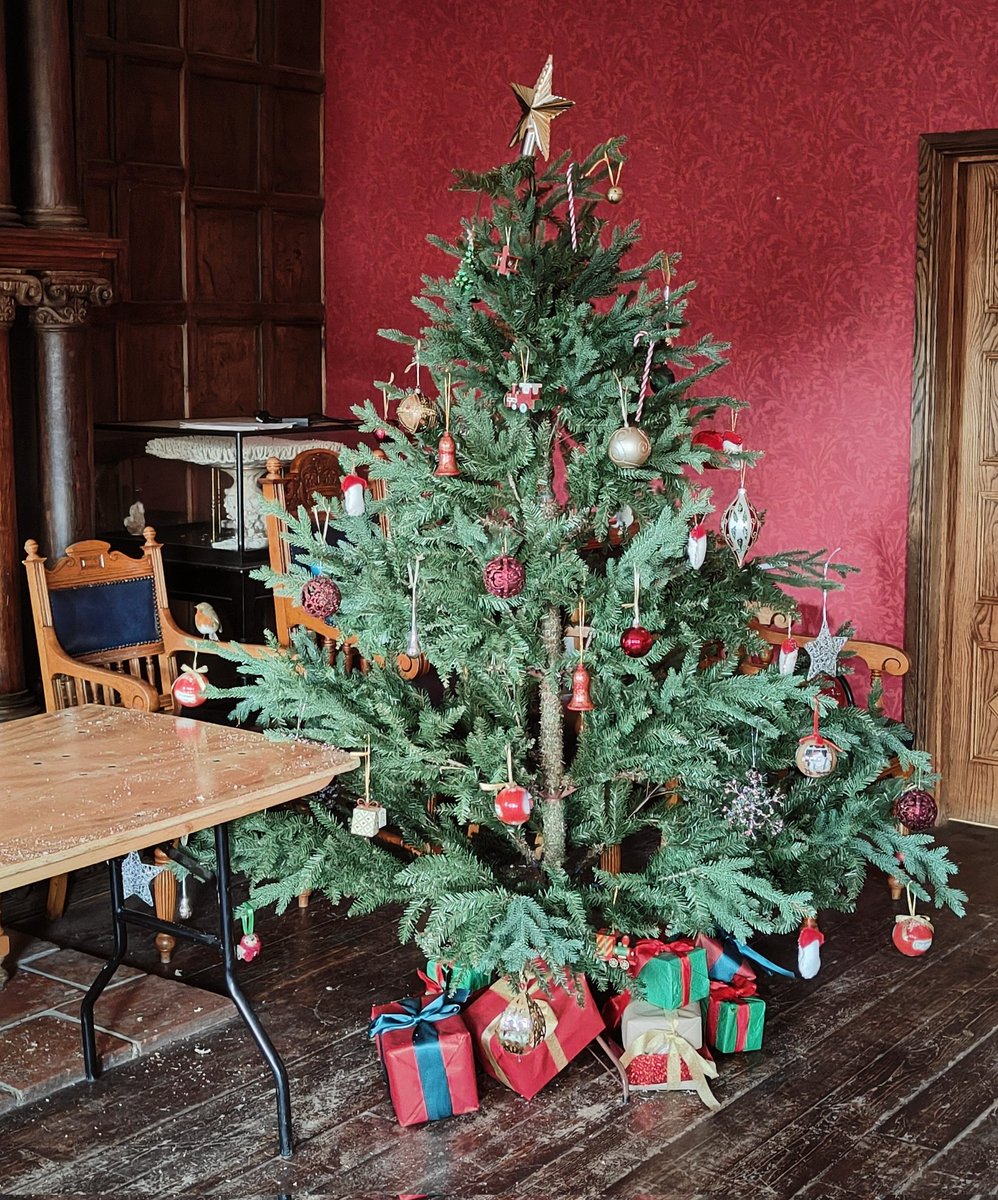 natasha_anson's tweet photo. It's not every day that your day starts with removing a very real robin from a Christmas tree, but it is a very Beamish way to start a Friday... https://t.co/BlzDIjLiS1