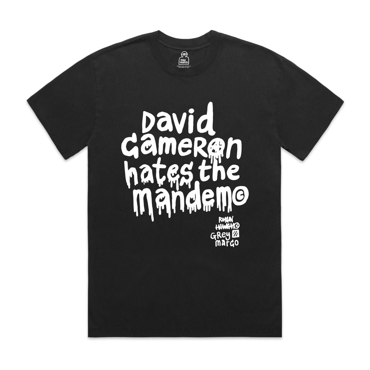 Ryan Hawaii tweet media