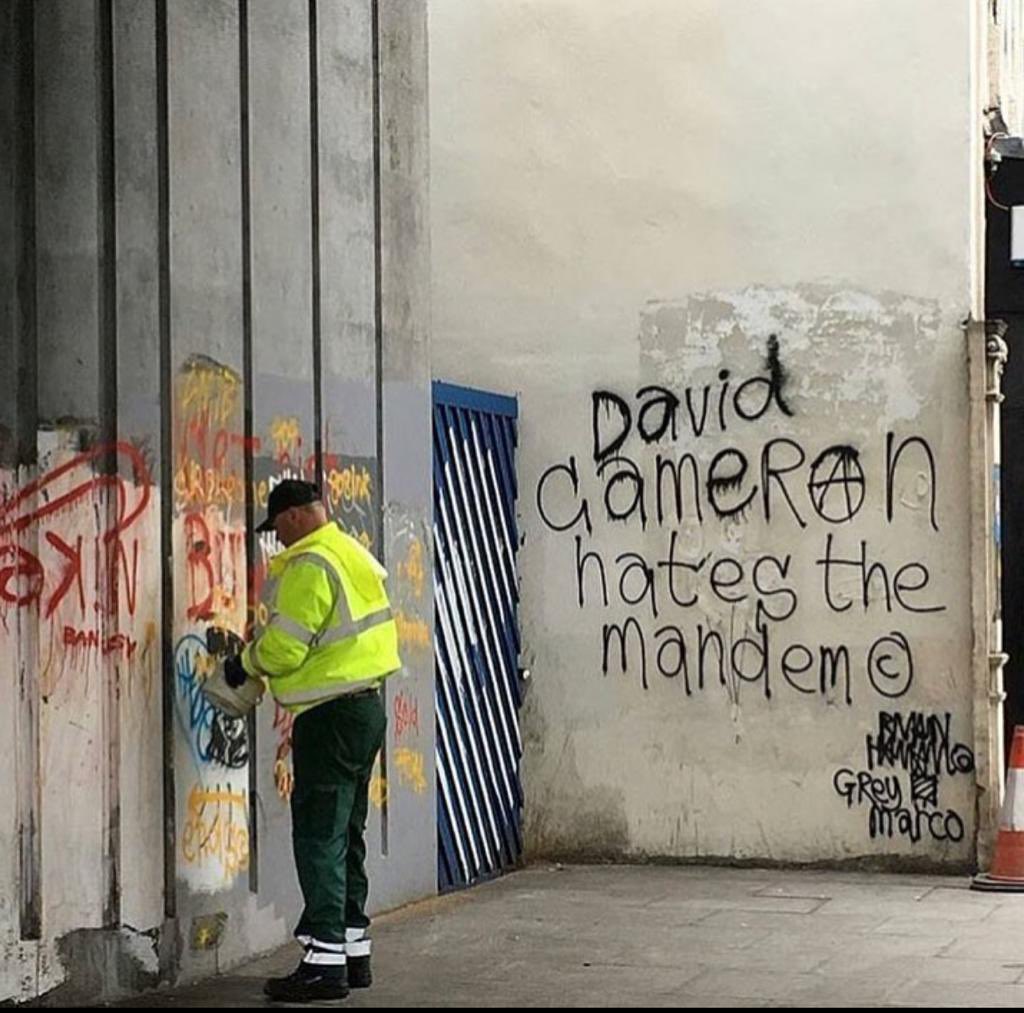 Ryan Hawaii tweet media