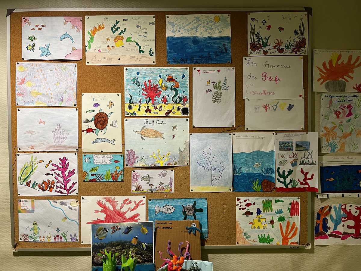 <a href="/Clg_OdG_82/">Collège Olympe de Gouges - Montauban 82</a> #E3D Niveau 3 : Travail des 6e sur les récifs coraliens : Découverte de la biodiversité et de l'importance de la protéger. #Parcourscitoyen : Faire des choix informés et responsables. <a href="/actoulouse/">Académie de Toulouse</a>  <a href="/MostafaFourar/">Mostafa Fourar</a> <a href="/DSDEN82/">DSDEN 82</a>  <a href="/LeNormandCyril1/">Le Normand Cyril</a>