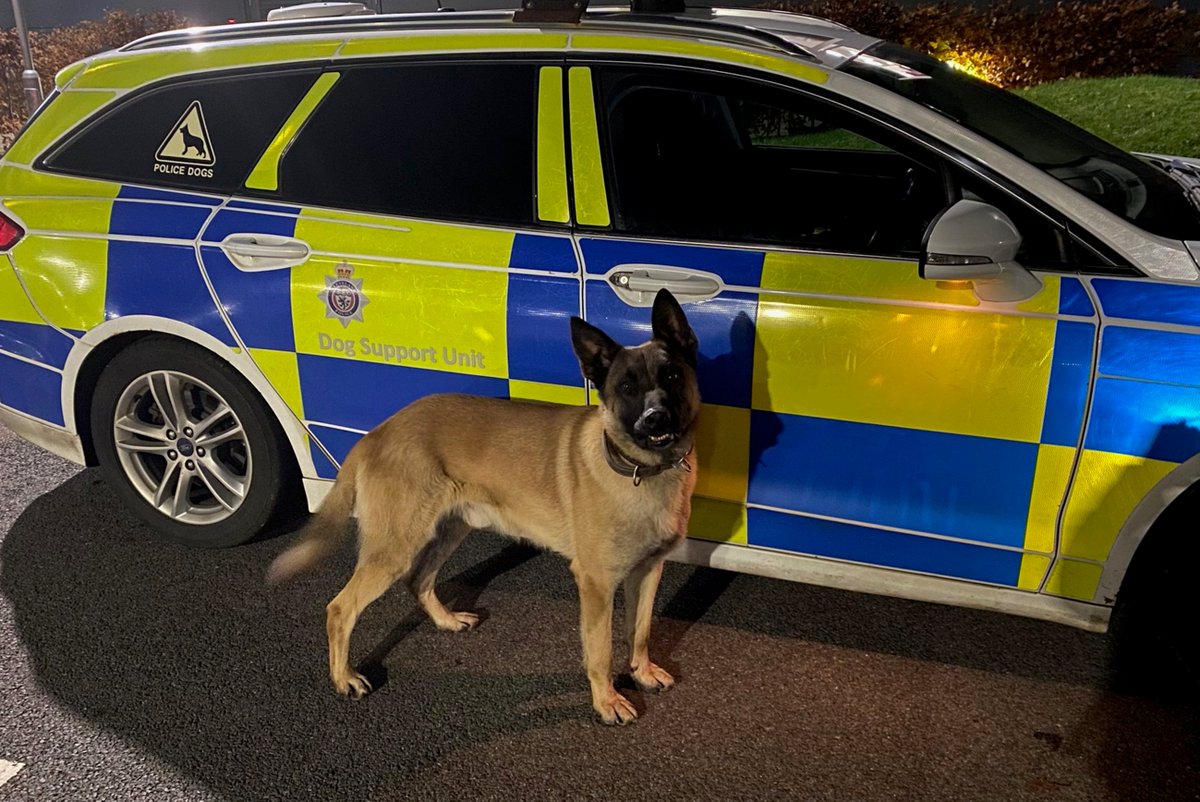 ClevelandPolice's tweet photo. PD Kuro 🐶 , the police drone and response officers combined efforts to locate a burglary suspect following a report of burglary at Subway in #Eston in the early hours of this morning.
A 24-yr-old man remains in police custody at this time.
Read more 👇🏻
https://t.co/aj3EqANCQC https://t.co/i7sWe19HNE