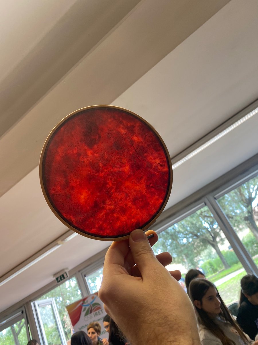 _Maria_Romano's tweet photo. Our PhD student @GiovanniBarra is showing cellulose produced by bacteria, with multiple colours, shapes and purposes.
#bacteria #cellulose #lovescience https://t.co/7R8OhZFDsw