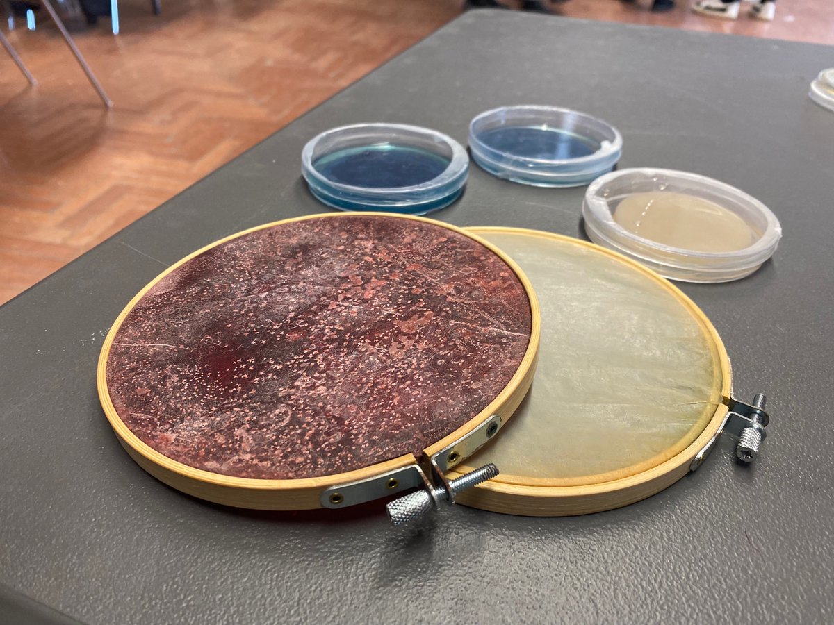 _Maria_Romano's tweet photo. Our PhD student @GiovanniBarra is showing cellulose produced by bacteria, with multiple colours, shapes and purposes.
#bacteria #cellulose #lovescience https://t.co/7R8OhZFDsw