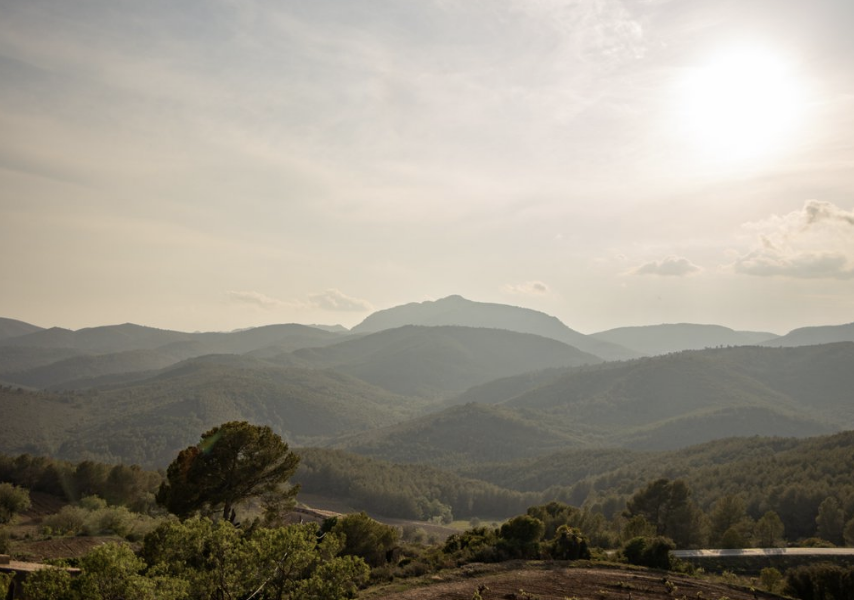 RaventosiBlanc's tweet photo. [CAN SUMOI 🍇] 

Raventós family's #NaturalWine project is focused on being responsible and #sustainable.  

For this reason, #CanSumoi collaborate with associations and foundations to help the #environment, such as:  Associació Forestal de la Regió de Tarragona #StandforTrees https://t.co/wnTHV6Ss6Z