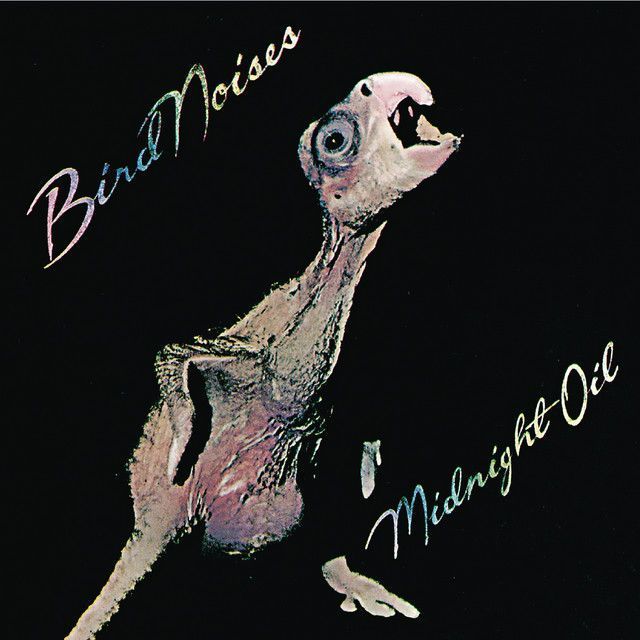 eternalrockbot's tweet image. Bird Noises - Album by Midnight Oil, released 24-NOV-1980 #NowPlaying #PopRock #AussieRock ift.tt/o1nX8zf