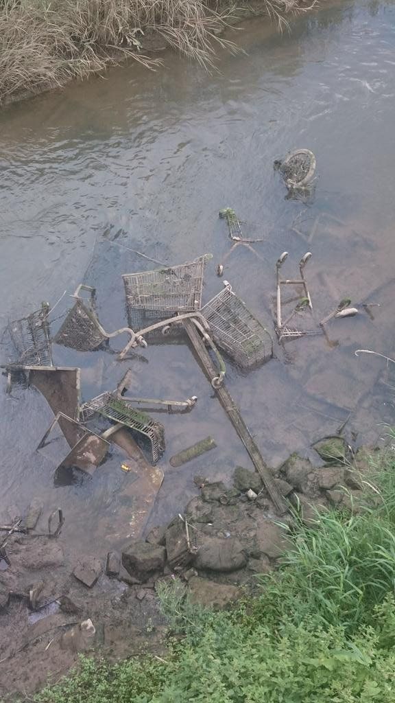 Wagerlkunst's tweet image. #FF #Einkaufswagenkunst #Spezialisten @flumpselig @ChelseaP1463668 @Sinus66 @ruckzenknupp @Claudia90773205 @DeRazzia @ArienAichi @TimMinden