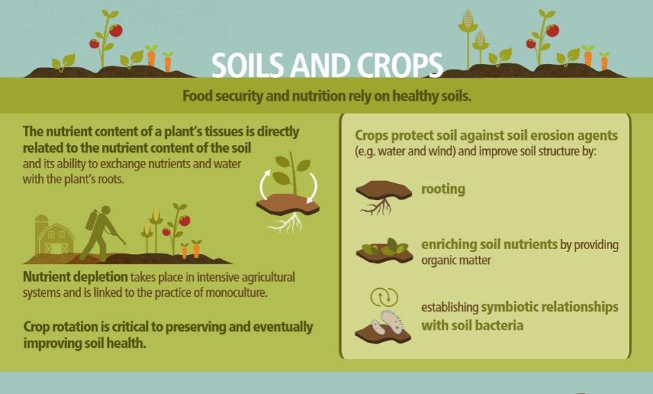 Healthy soils are vital for plant growth and ecosystem services like climate regulation. Vegetation, in turn, protects soil from degradation. 

However, growing global demands stress soils. 🌱 #SoilHealth #Sustainability 

©Photo: <a href="/FAO/">Food and Agriculture Organization</a>