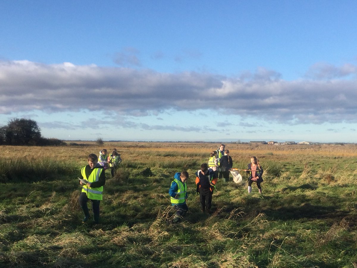 Y4 visited Gapton Marshes for a 'Ted Ellis Day Out', looking for wildlife, using binoculars to spot birds & pond dipping in the ditches across the marsh. A great way to learn about our local area. Thank you so much to @BroadsAuth for a great learning experience @WaveneyValleyAT