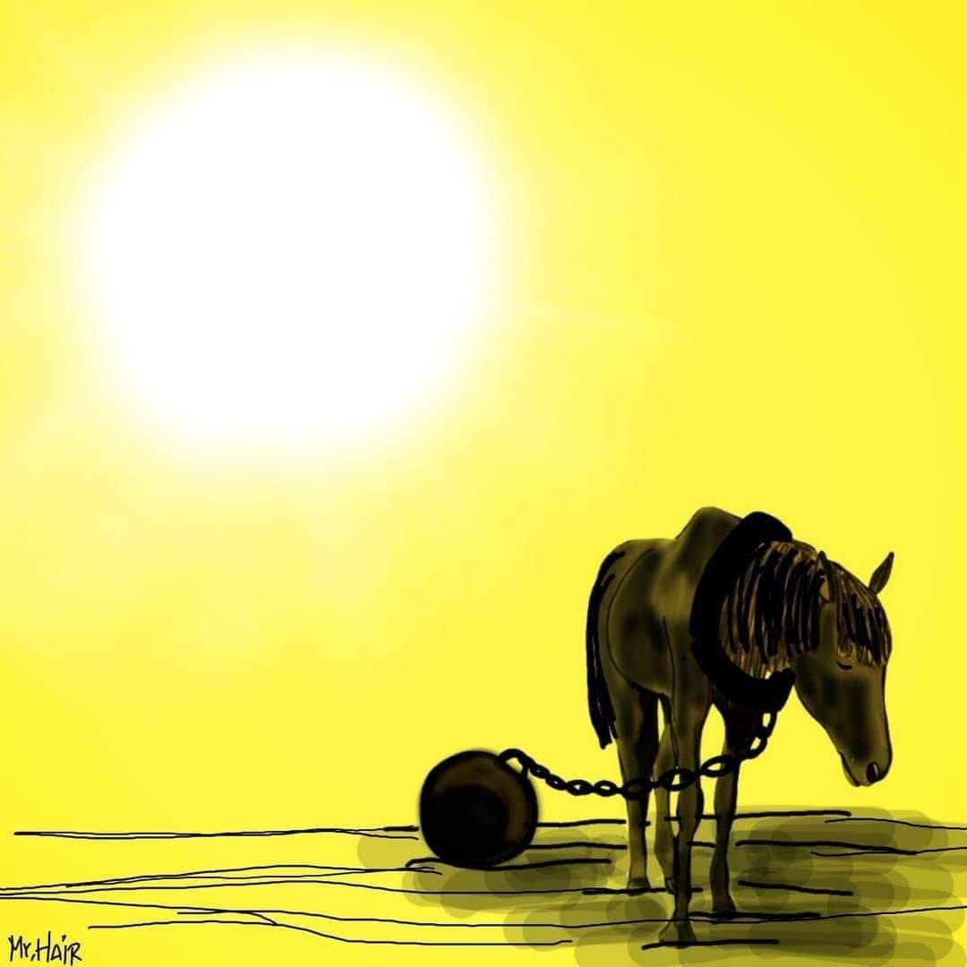 Protectora ADE tweet media