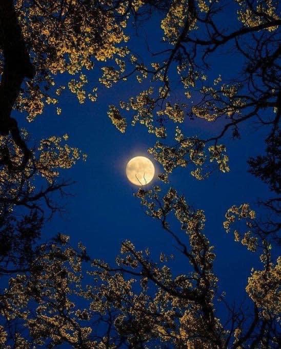 the moon is beautiful , isn’t it? 🌙