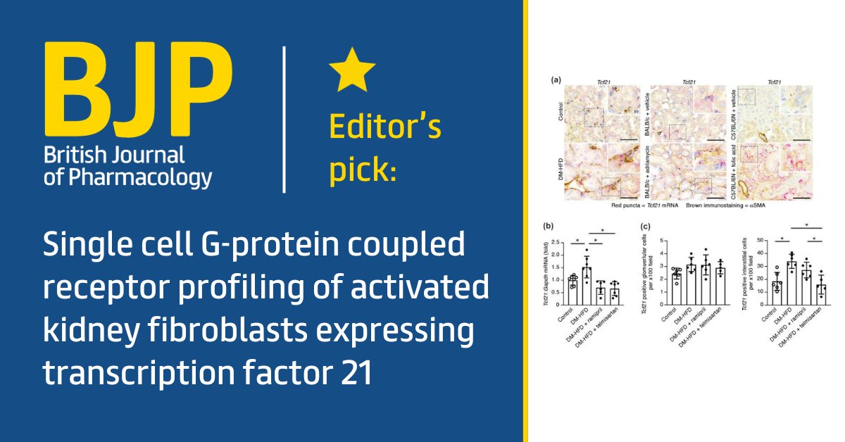 #EditorsPicks: This study by Harmandeep Kaur et. al establishes Tcf21 as a transcriptional marker helpful in identifying activated fibroblasts in kidney disease: ow.ly/nTQc50QaIWt #KidneyDisease #Tcf21 #fibroblasts