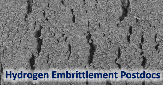 Felix Hofmann tweet media