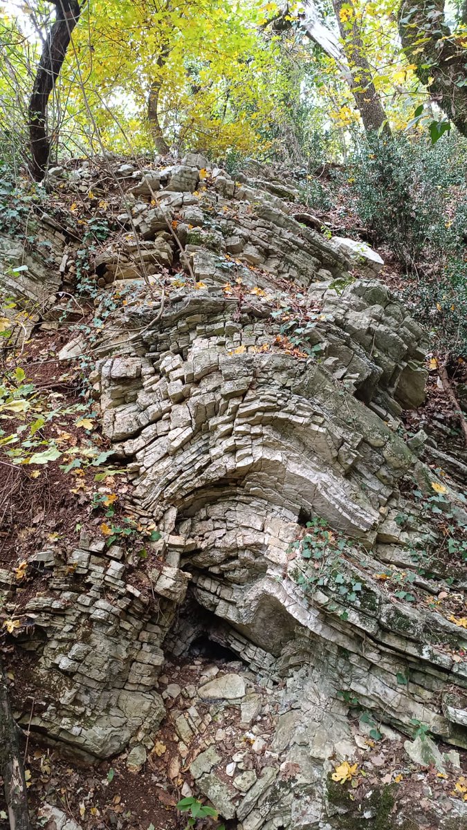 cnr_igag's tweet photo. #Rilevamento #geologico strutturale dell'area di #Brescia per la realizzazione del foglio geologico 121.
L'attività prevede di ricostruire le geometrie che caratterizzano il substrato roccioso Mesozoico sviluppatesi durante le fasi di crescita della catena alpina
#cnr #cnr_igag https://t.co/pMjHyOzXIS