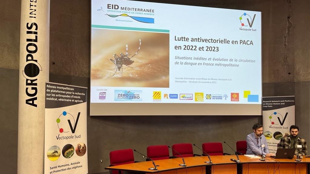 EIDMediterranee's tweet photo. 📷
EID Méditerranée
@EIDMediterranee 
24 nov. 2023
#Vectopolesud | Bilan de la LAV en PACA 2022-2023 dans le cadre des journées d’animation scientifique du VectopoleSud, le LIVE : https://t.co/VdzKwRO7f9 📷 le programme : https://t.co/IbenMQY2wz
#vecteurs #recherche #moustique https://t.co/GcZUOCaxgy