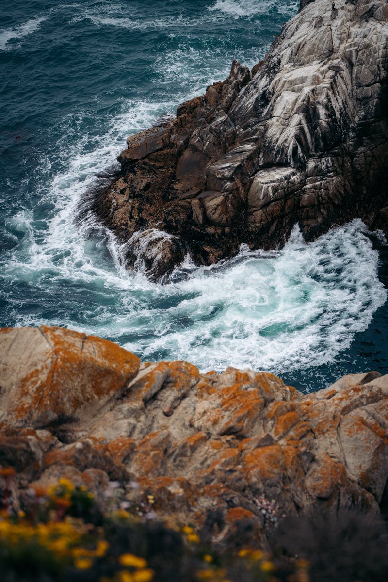 Point Lobos v2
#PointLobos #VisitCalifornia