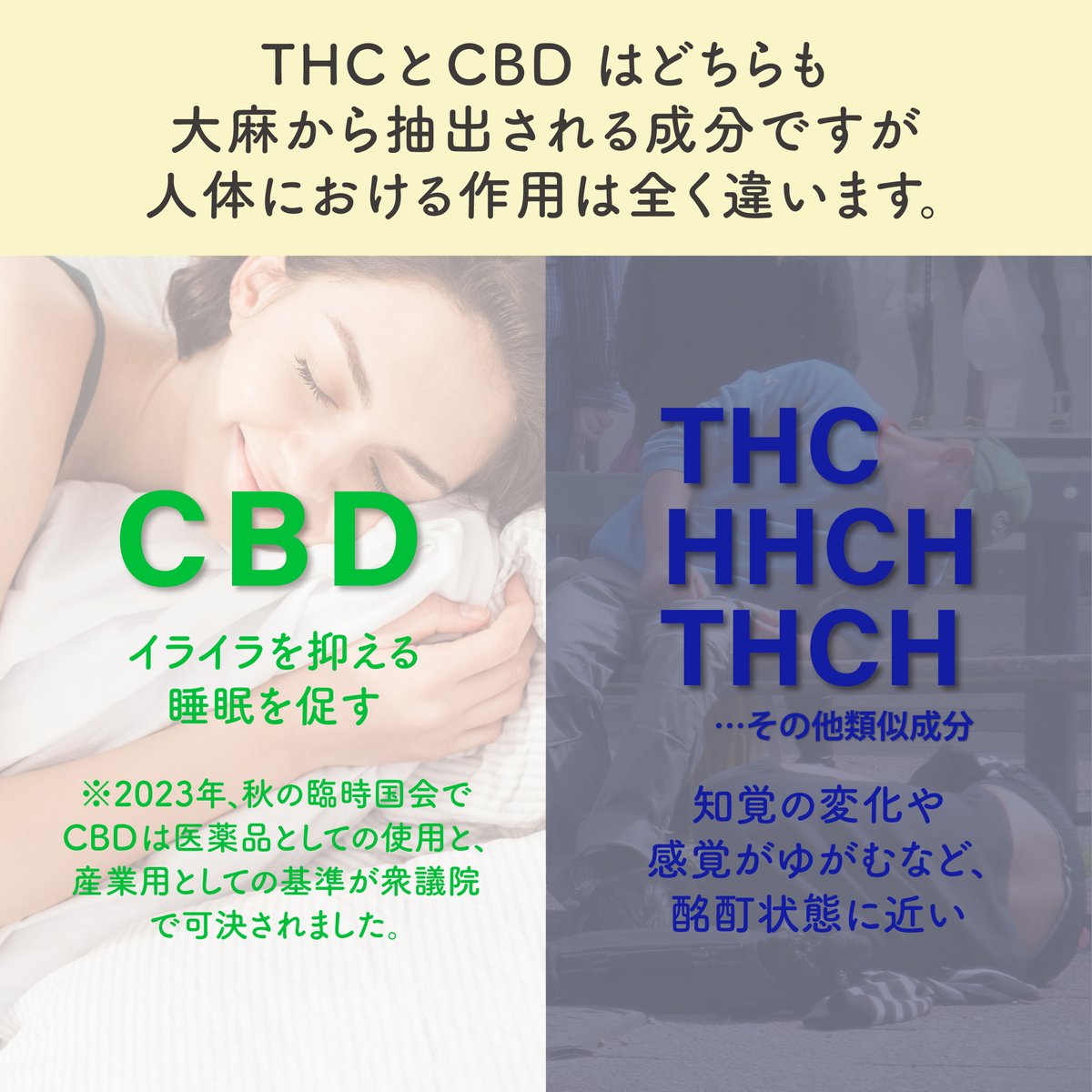 株式会社CANLIFE【公式】「私の綺麗は睡眠から！」 tweet media