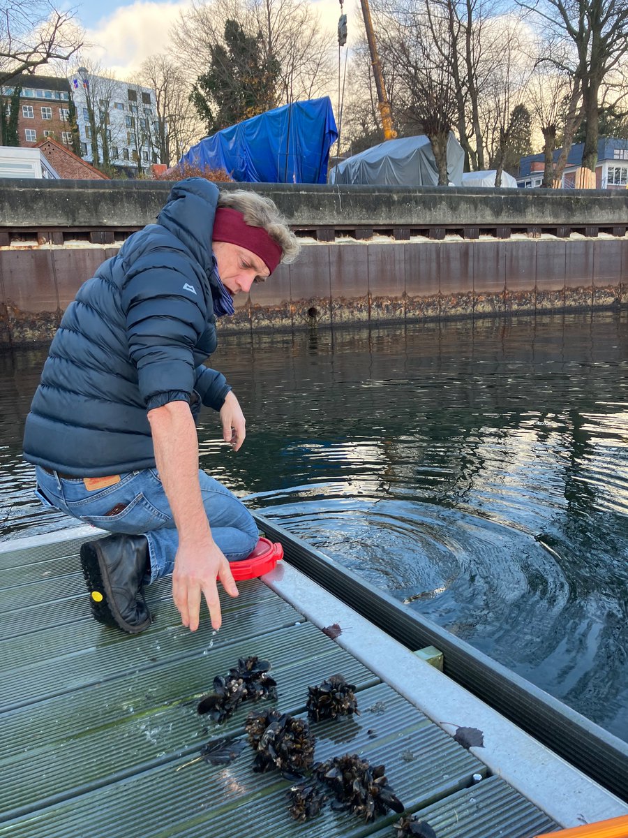 Jennifer N. Schulze (@j_nschulze) on Twitter photo Cold morning sampling some pretty mussels with @Frank_Melzner 🦪🌊
Always nice to have a break from computer work (and not feel my hands for the next half hour!)
Now genotyping! 🧬 I’m really excited to get these final results and wrap up the work with <a href="/robedulis/">Robert Ellis</a> <a href="/Jahangir_Vs/">Jahangir Vajedsamiei</a> Cold morning sampling some pretty mussels with @Frank_Melzner 🦪🌊
Always nice to have a break from computer work (and not feel my hands for the next half hour!)
Now genotyping! 🧬 I’m really excited to get these final results and wrap up the work with <a href="/robedulis/">Robert Ellis</a> <a href="/Jahangir_Vs/">Jahangir Vajedsamiei</a>
