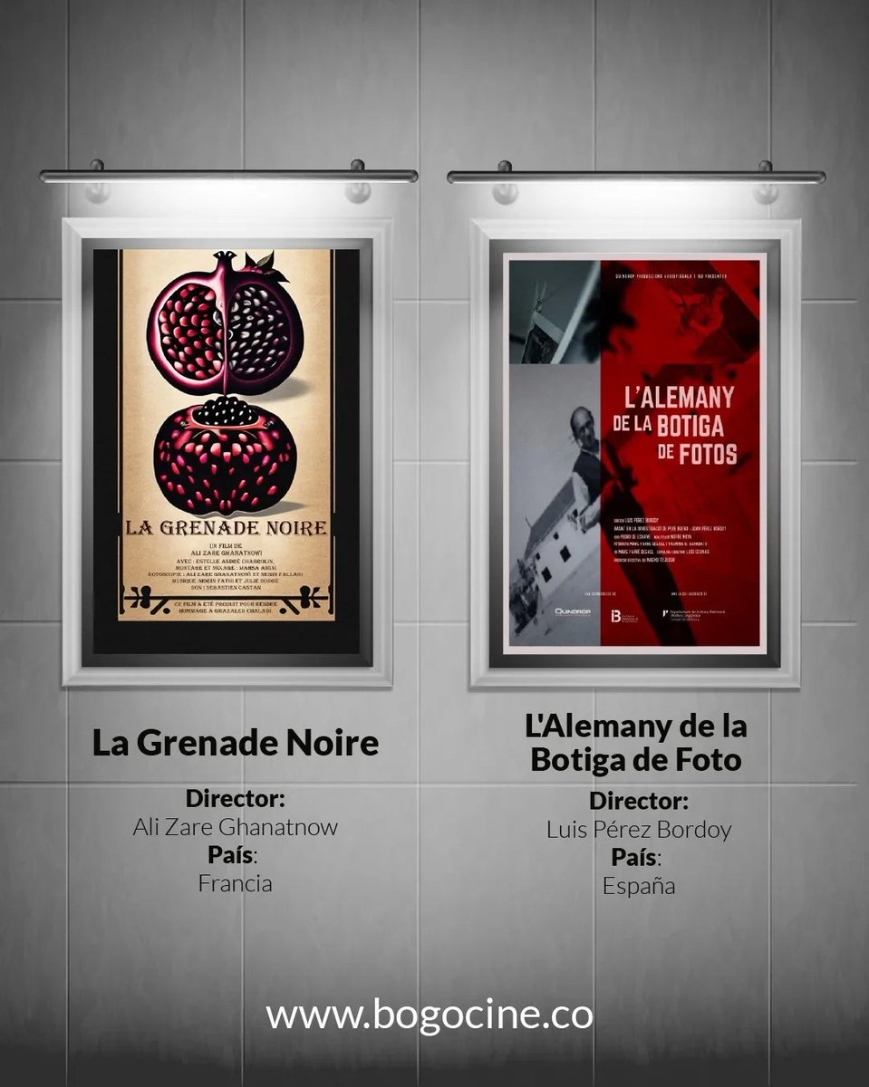 Quindrop Producciones Audiovisuales S.L. tweet media