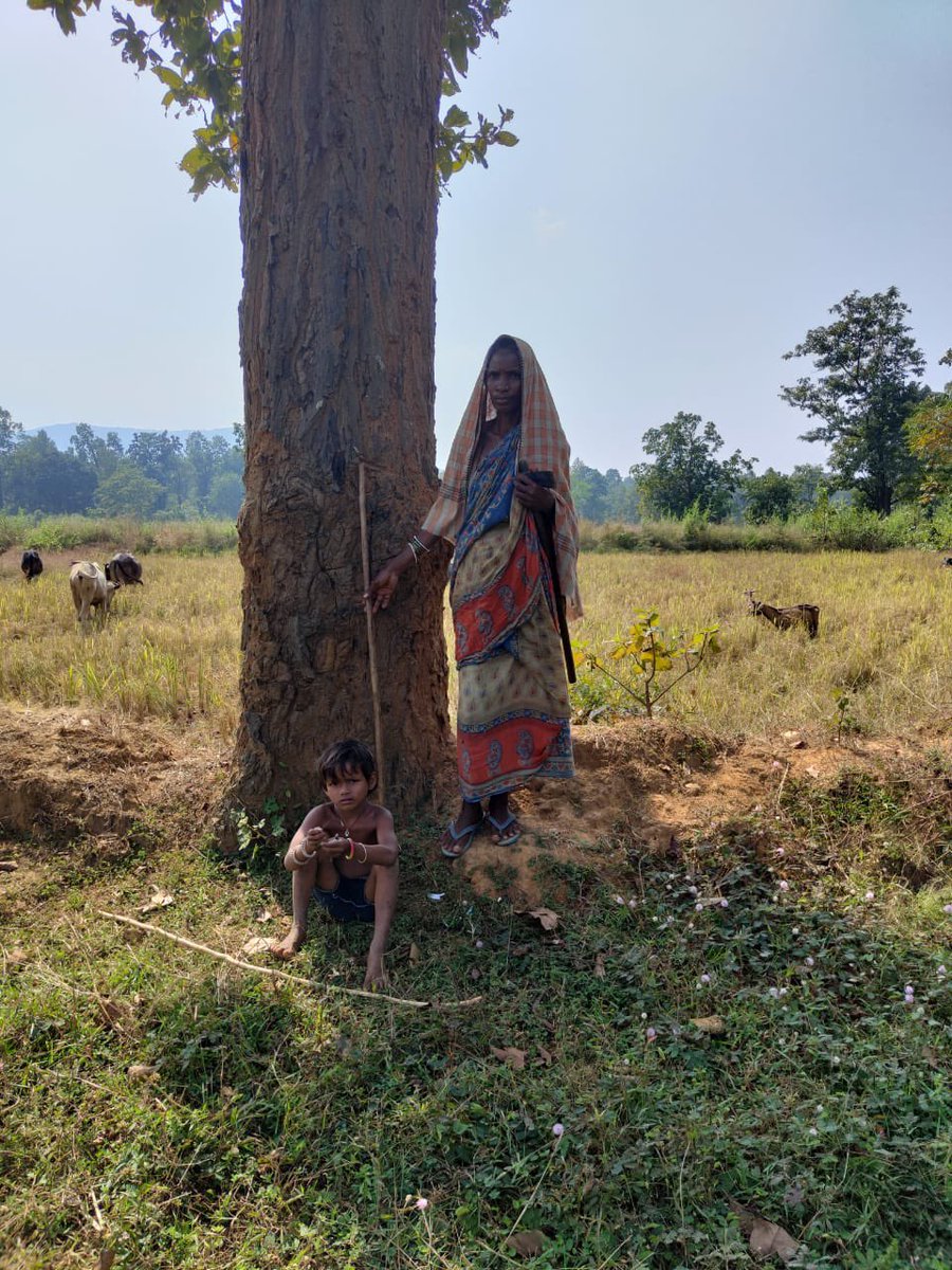 Community builds a forest that is good for them & good for earth. This has also been proven for generations around the world. Forest with a humane touch is more relevant & resilient than a forest with scientific management, fortress conservation & regenerated for market. Yet…