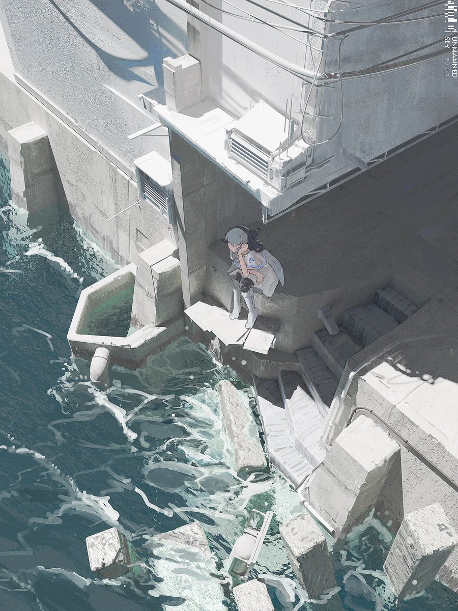 空气鱼 airfish tweet media