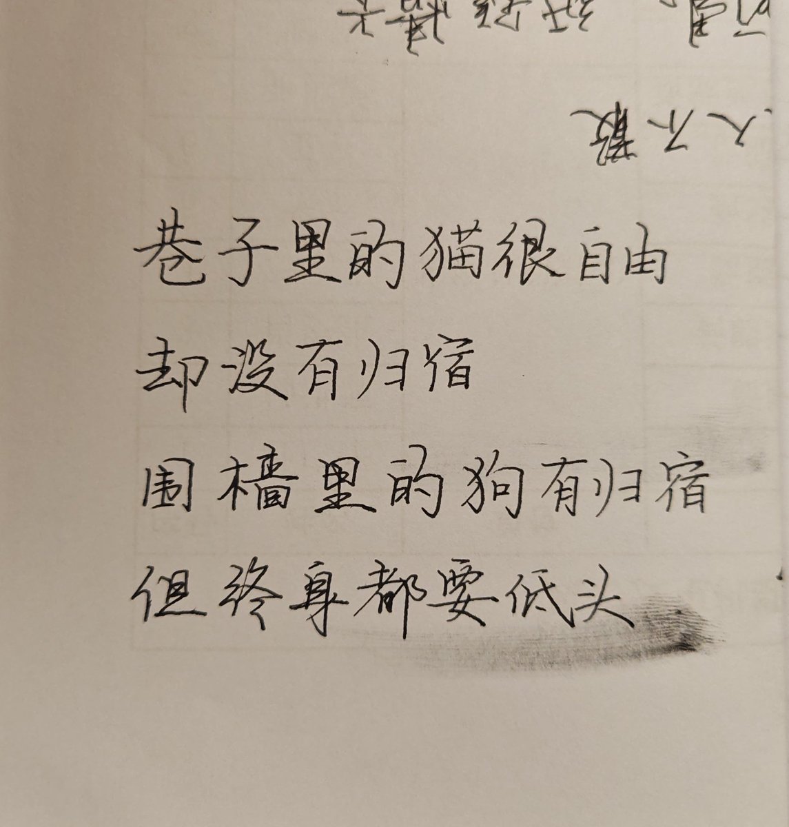 万有引力 (@bigjb29622722) on Twitter photo 