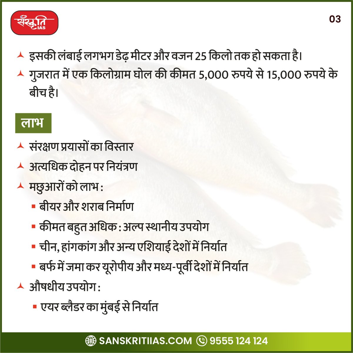 sanskritiias's tweet photo. गुजरात की नई राज्य मछली 
[ब्लैकस्पॉटेड क्रोकर (घोल)]

#Ahmedabad #Gholfish #GlobalFisheriesConference #Gujarat #BhupendraPatel #StateFish #IAS #UPSC #CivilServices #Prelims #SanskritiIAS #CurrentAffairs https://t.co/Akq8YWBXCY