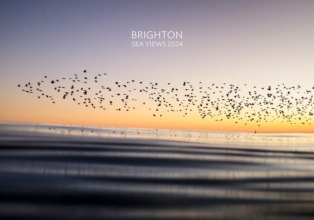 PhotoBrighton's tweet photo. Just a quick reminder that you have one week left to get FREE POSTAGE on every item on our website to anywhere in the UK. All our prints, calendars, photo-books and greeting cards, delivered FREE to your door if you order before midnight on 30th November.

#shoplocal #shopsmall https://t.co/WJNz7thRxF