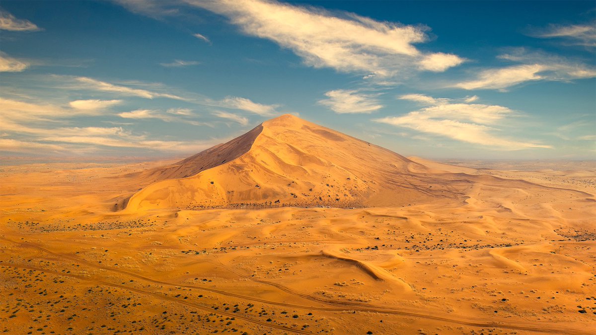 ناصر العثمان tweet media