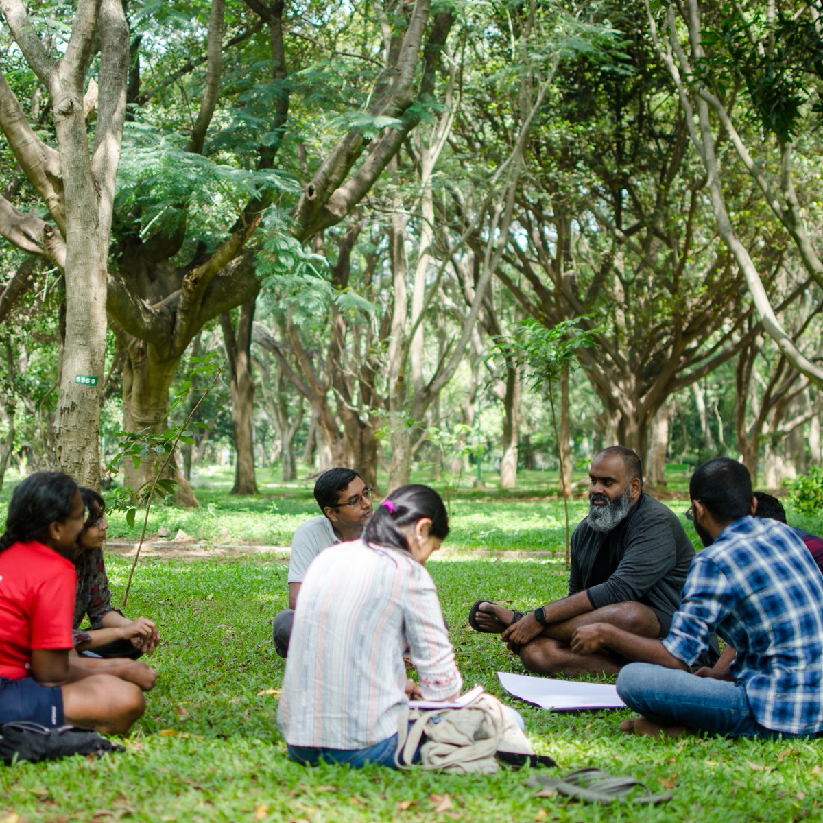 Fields of View tweet media