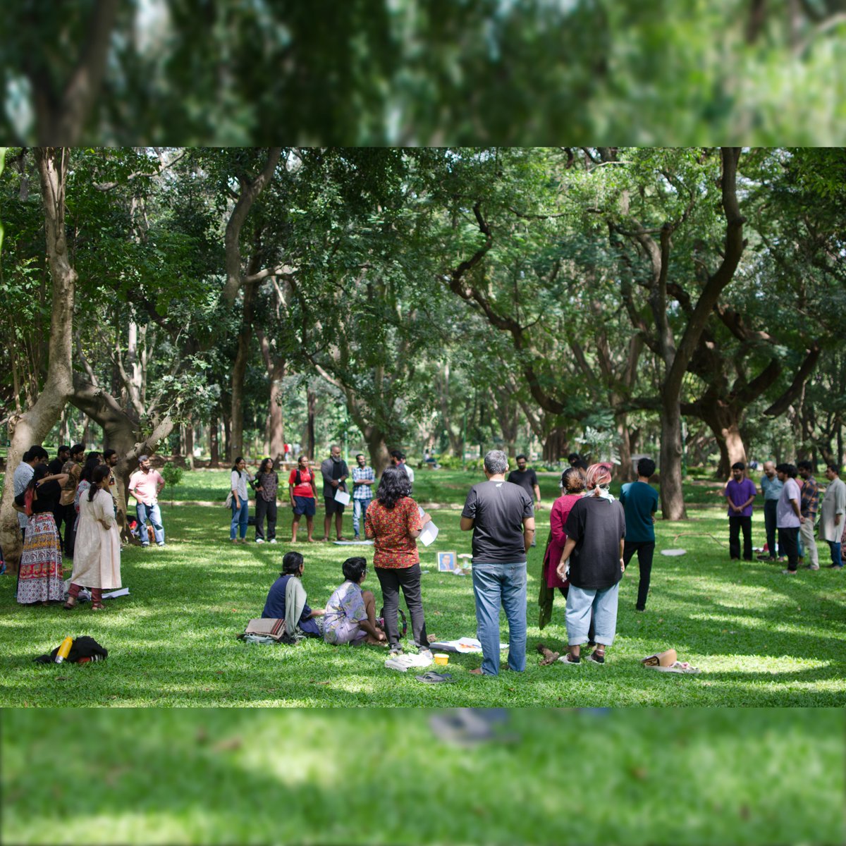 Fields of View tweet media