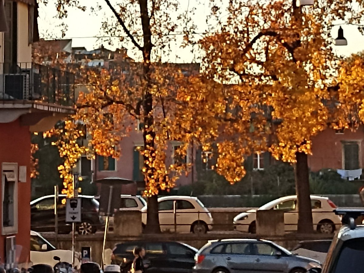 #AutumnVariations #cityscape